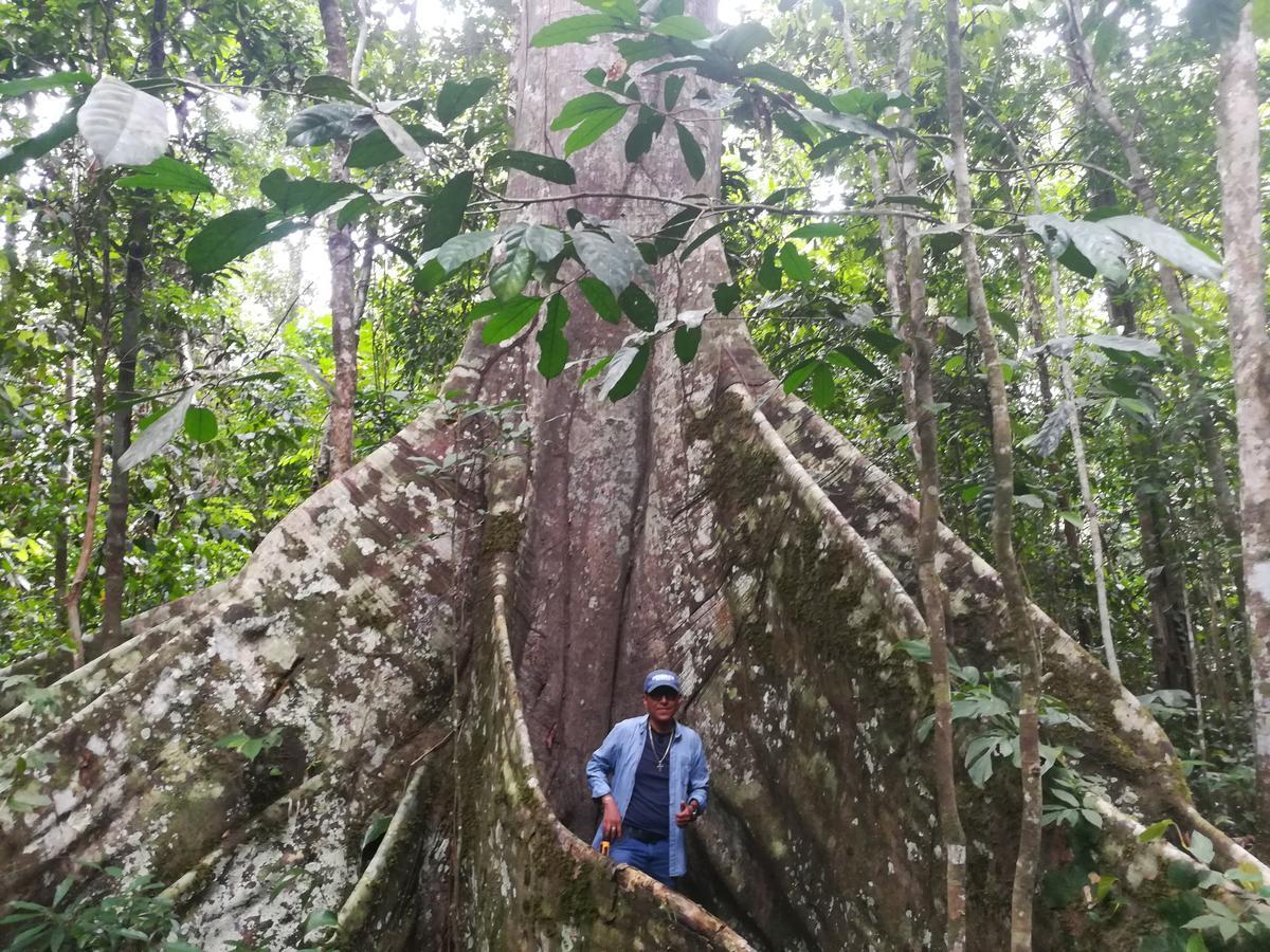 普卡尔帕Uni Rao Centro Ecologico别墅 外观 照片