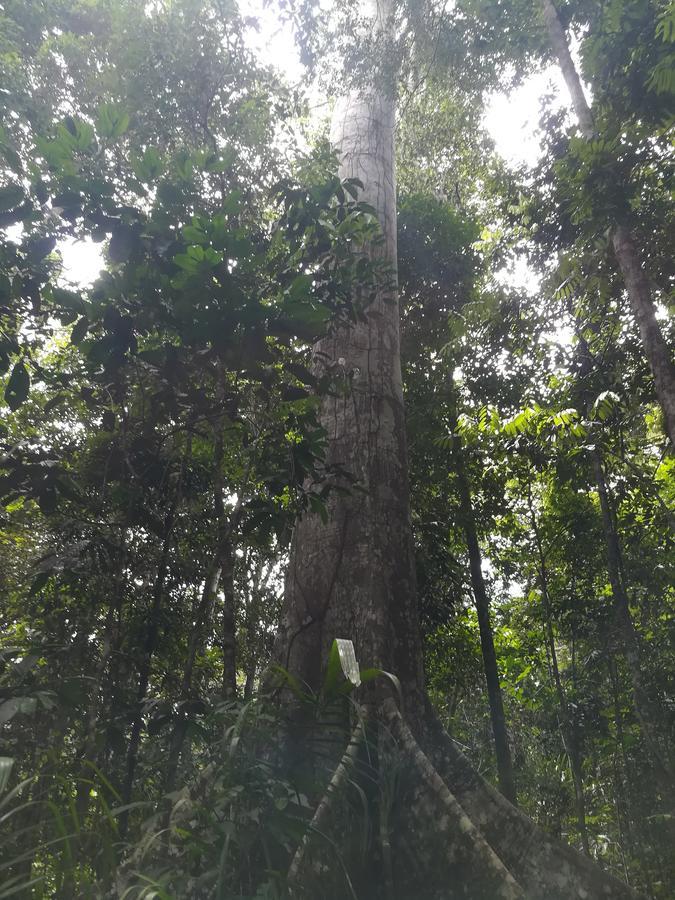 普卡尔帕Uni Rao Centro Ecologico别墅 外观 照片
